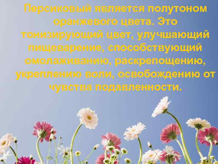 Персиковый является полутоном оранжевого цвета. Это тонизирующий цвет, улучшающий пищеварение, способствующий омолаживанию, раскрепощению, укреплению