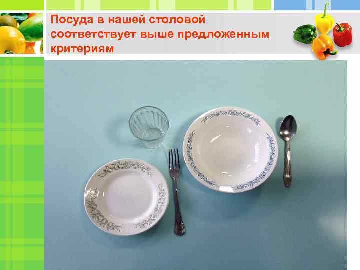 Посуда в нашей столовой соответствует выше предложенным критериям 