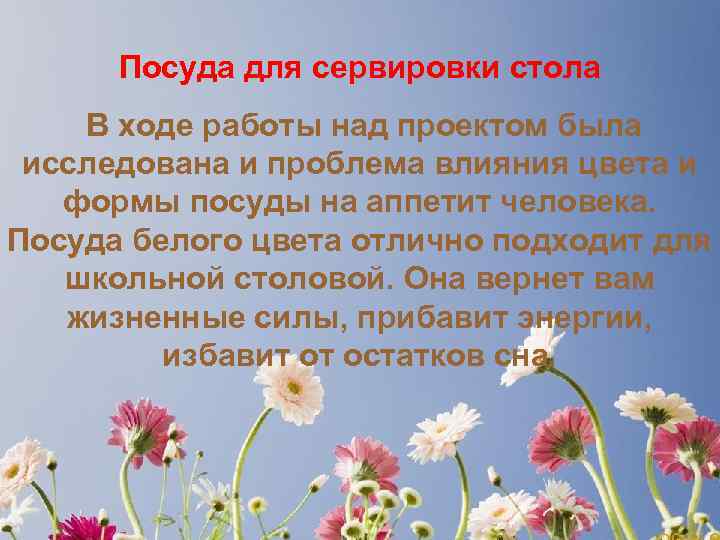 Посуда для сервировки стола В ходе работы над проектом была исследована и проблема влияния