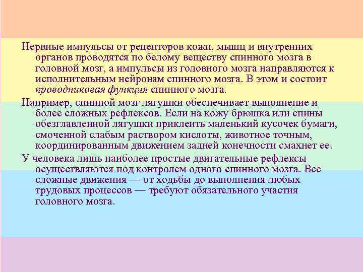 Нервные импульсы от рецепторов кожи, мышц и внутренних органов проводятся по белому веществу спинного