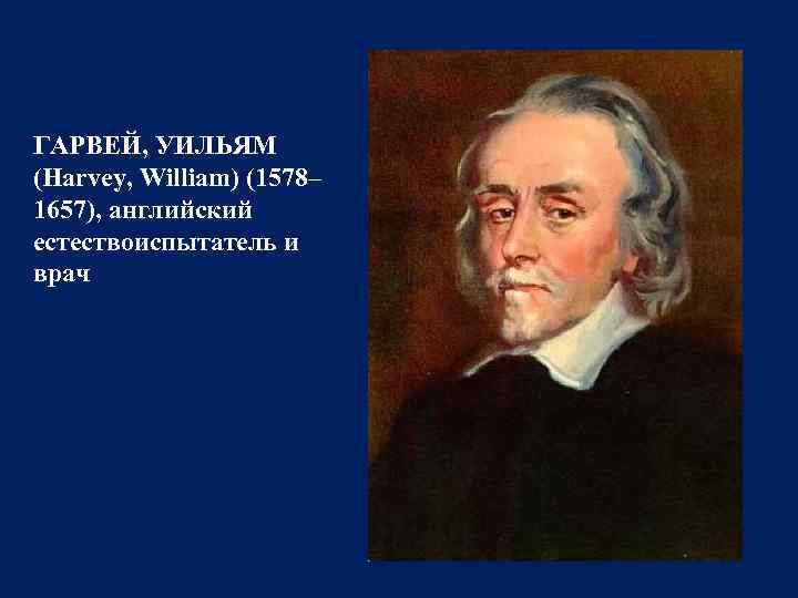 ГАРВЕЙ, УИЛЬЯМ (Harvey, William) (1578– 1657), английский естествоиспытатель и врач 