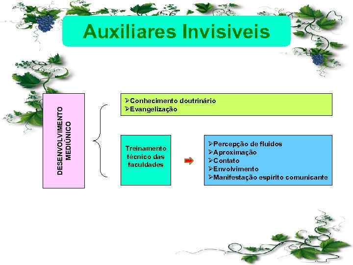 DESENVOLVIMENTO MEDIÚNICO Auxiliares Invisiveis ØConhecimento doutrinário ØEvangelização Treinamento técnico das faculdades ØPercepção de fluidos