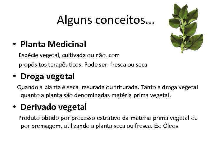 Alguns conceitos. . . • Planta Medicinal Espécie vegetal, cultivada ou não, com propósitos