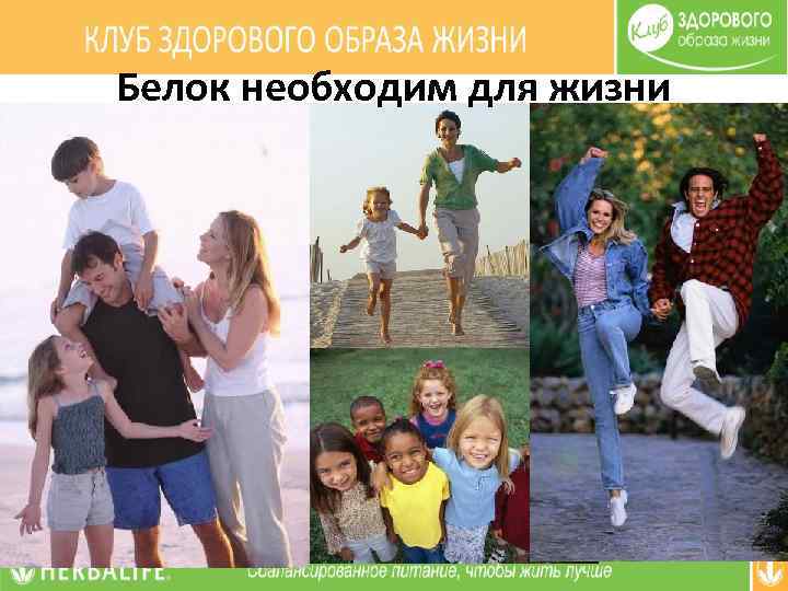 Белок необходим для жизни 