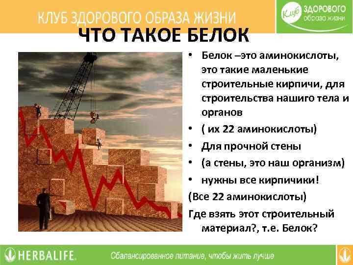 ЧТО ТАКОЕ БЕЛОК • Белок –это аминокислоты, это такие маленькие строительные кирпичи, для строительства