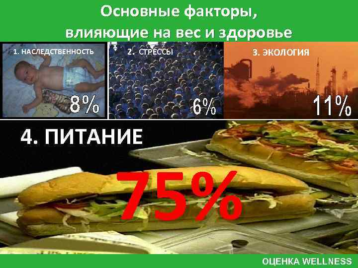 Основные факторы, влияющие на вес и здоровье 1. НАСЛЕДСТВЕННОСТЬ 2. СТРЕССЫ 3. ЭКОЛОГИЯ 4.
