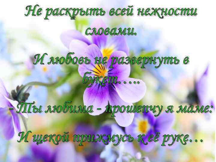 Не раскрыть всей нежности словами. И любовь не развернуть в букет…. . - Ты