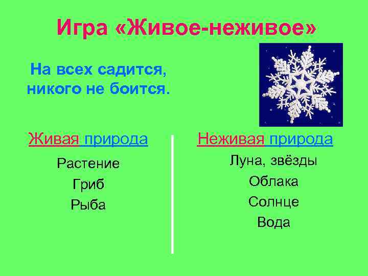 Игра «Живое-неживое» На всех садится, никого не боится. Живая природа Растение Гриб Рыба Неживая