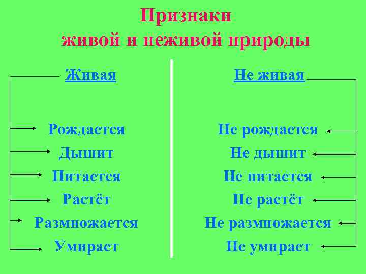 Признаки живой и неживой природы Живая Не живая Рождается Дышит Питается Растёт Размножается Умирает