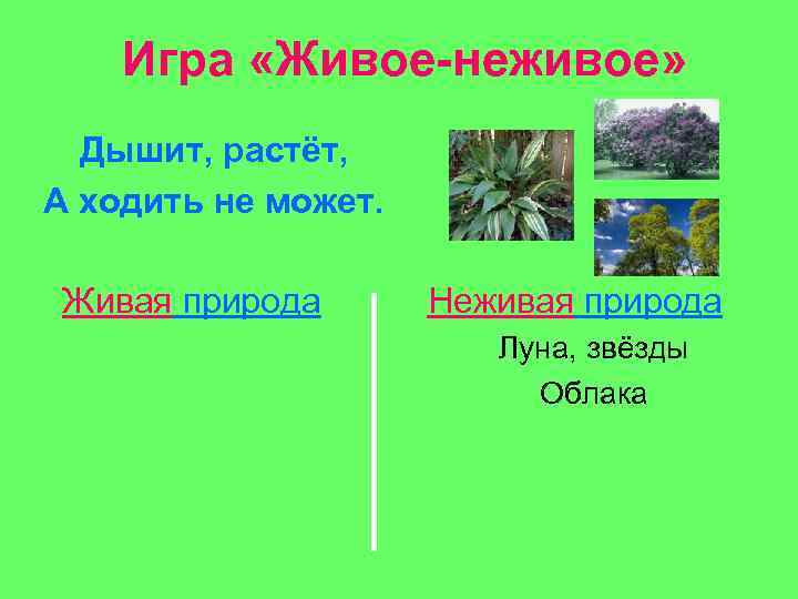 Игра «Живое-неживое» Дышит, растёт, А ходить не может. Живая природа Неживая природа Луна, звёзды