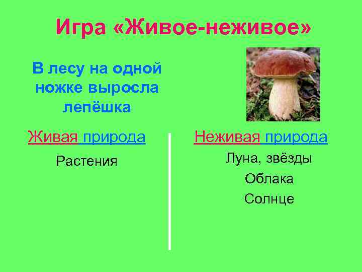 Игра «Живое-неживое» В лесу на одной ножке выросла лепёшка Живая природа Растения Неживая природа