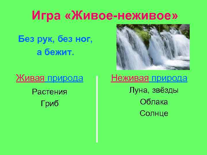 Игра «Живое-неживое» Без рук, без ног, а бежит. Живая природа Растения Гриб Неживая природа