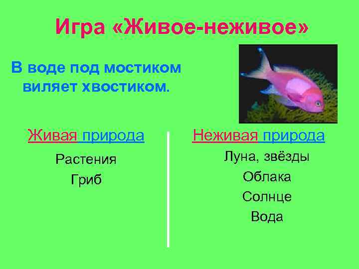 Игра «Живое-неживое» В воде под мостиком виляет хвостиком. Живая природа Растения Гриб Неживая природа