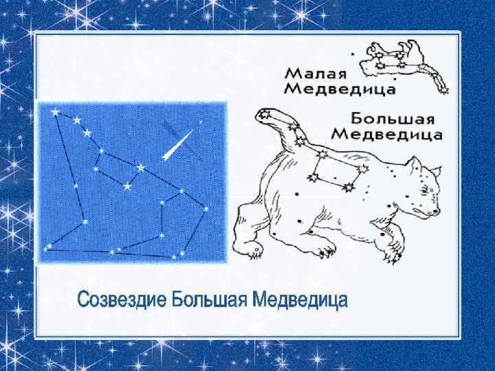 Созвездие Большая Медведица 