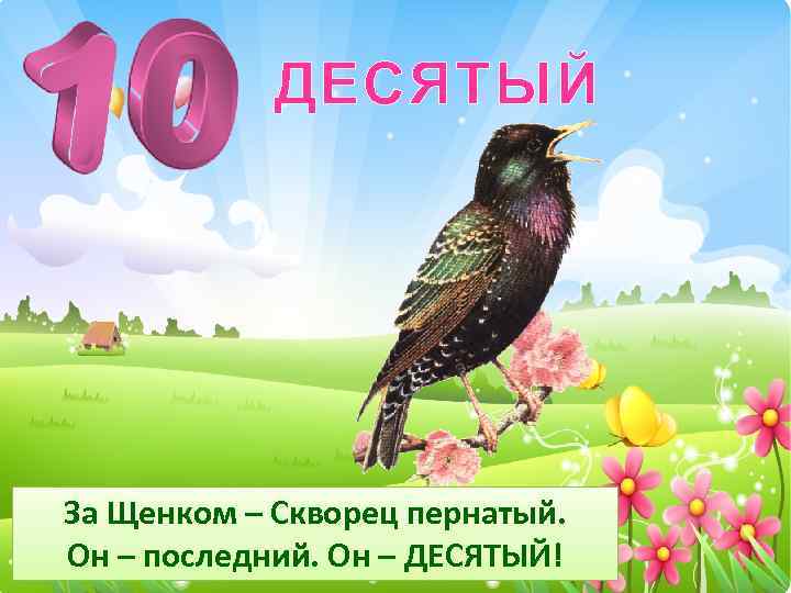 ДЕСЯТЫЙ За Щенком – Скворец пернатый. Он – последний. Он – ДЕСЯТЫЙ! 