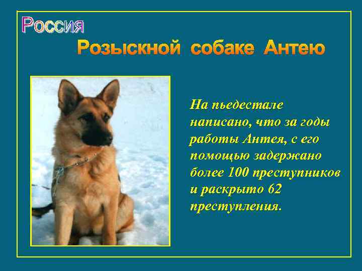 На пьедестале написано, что за годы работы Антея, с его помощью задержано более 100