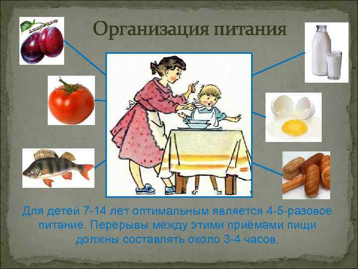 Организация питания Для детей 7 -14 лет оптимальным является 4 -5 -разовое питание. Перерывы