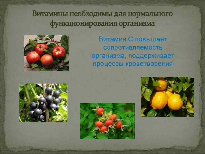 Витамины необходимы для нормального функционирования организма Витамин С повышает сопротивляемость организма, поддерживает процессы кроветворения