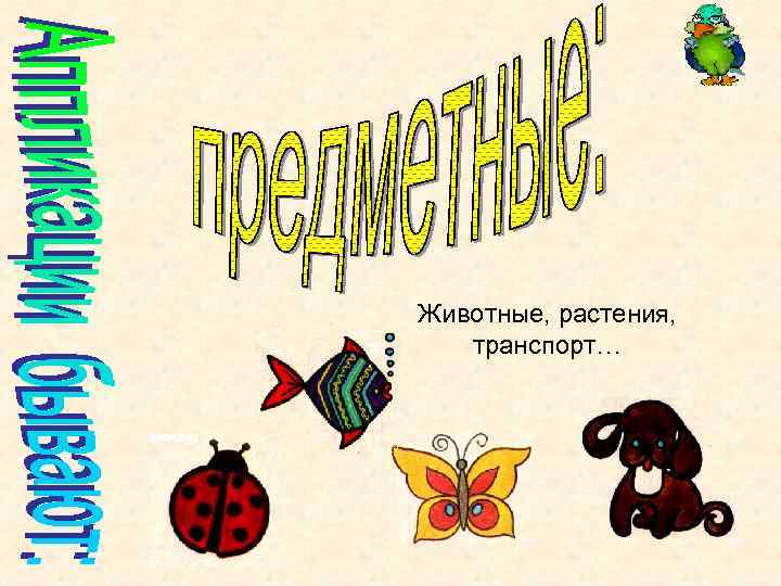 Животные, растения, транспорт… 