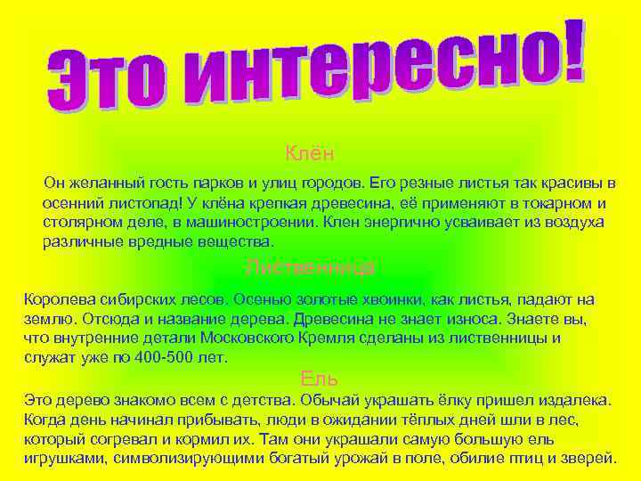 Клён Он желанный гость парков и улиц городов. Его резные листья так красивы в