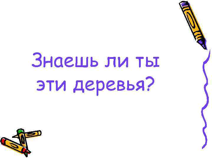 Знаешь ли ты эти деревья? 