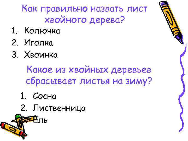 Как правильно назвать лист хвойного дерева? 1. Колючка 2. Иголка 3. Хвоинка Какое из