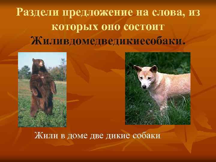 Раздели предложение на слова, из которых оно состоит Жиливдомедведикиесобаки. Жили в доме две дикие