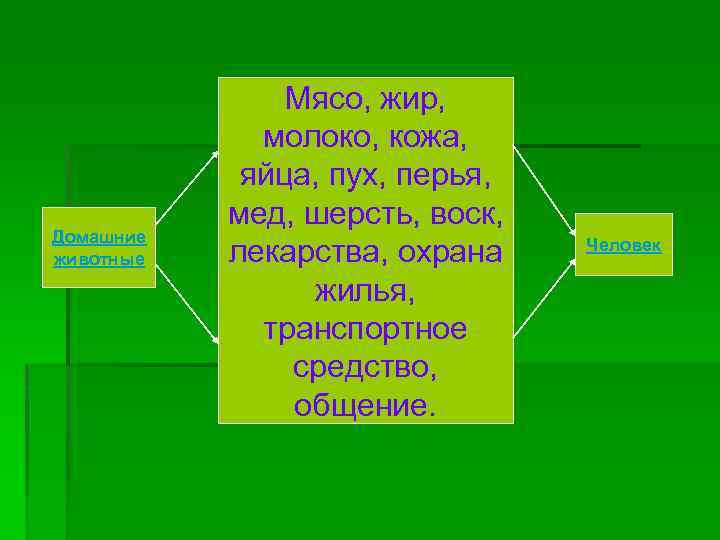 Домашние животные Мясо, жир, молоко, кожа, яйца, пух, перья, мед, шерсть, воск, лекарства, охрана