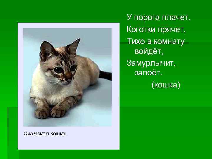 У порога плачет, Коготки прячет, Тихо в комнату войдёт, Замурлычит, запоёт. (кошка) 