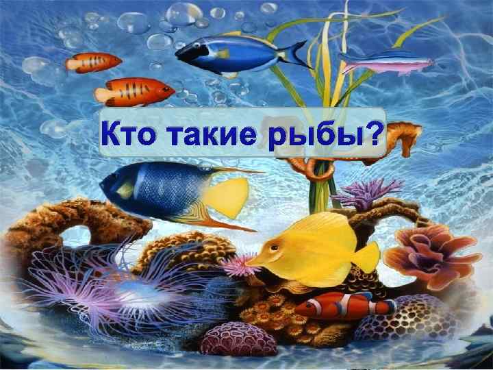 Кто такие рыбы? 