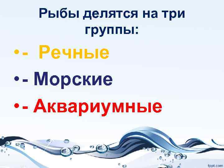 Рыбы делятся на три группы: • - Речные • - Морские • - Аквариумные