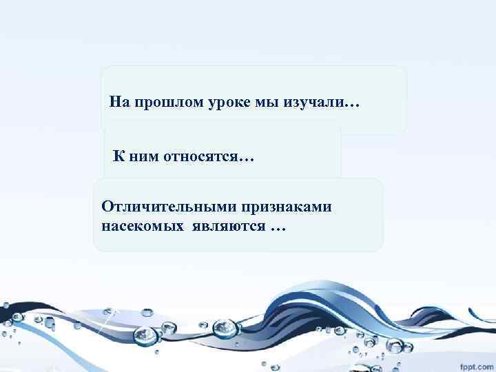 На прошлом уроке мы изучали… К ним относятся… Отличительными признаками насекомых являются … 