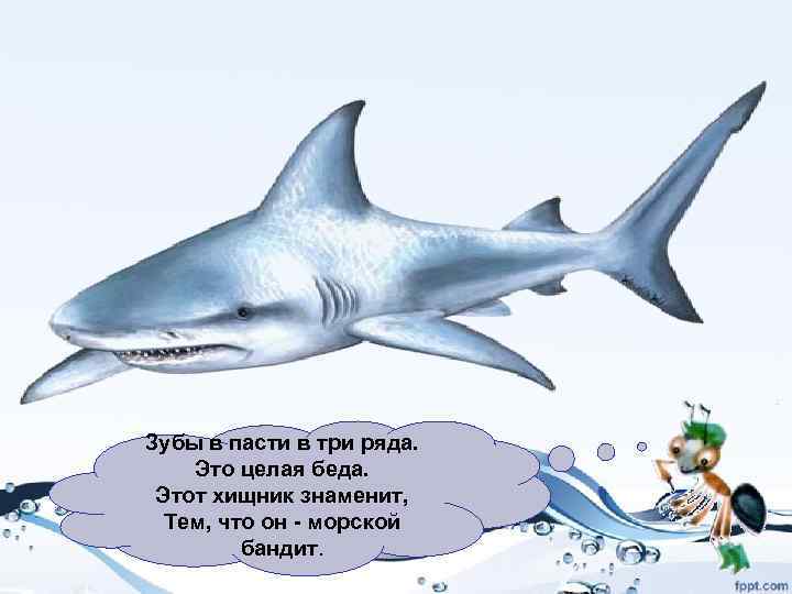 Зубы в пасти в три ряда. Это целая беда. Этот хищник знаменит, Тем, что