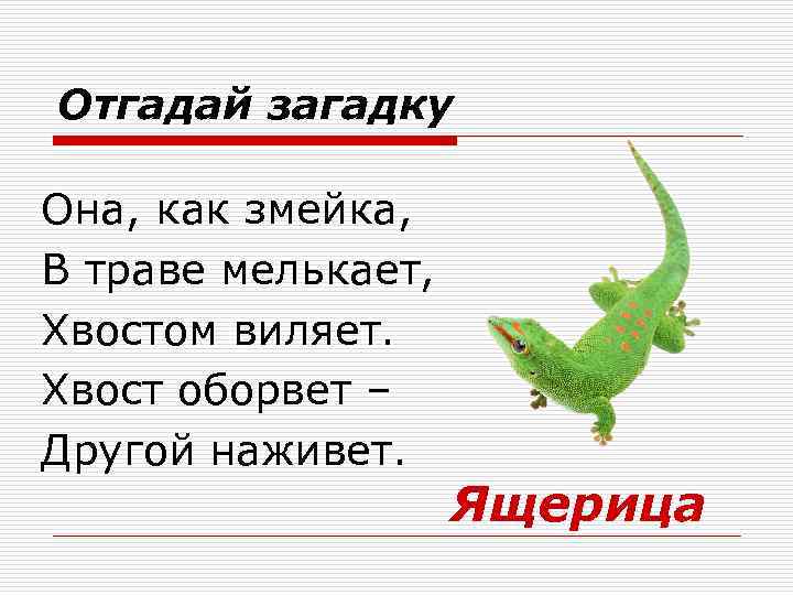 Отгадай загадку Она, как змейка, В траве мелькает, Хвостом виляет. Хвост оборвет – Другой