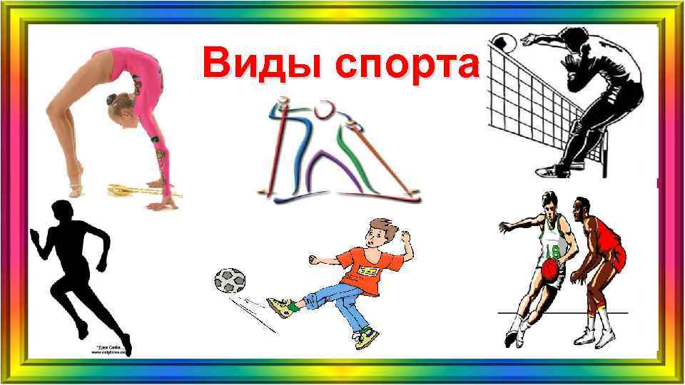 Виды спорта 