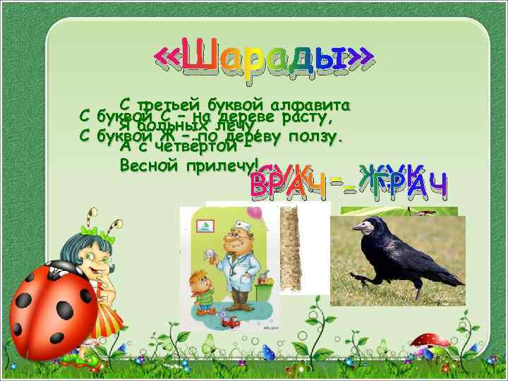  «Шарады» С третьей буквой алфавита С буквой С – на дереве расту, Я