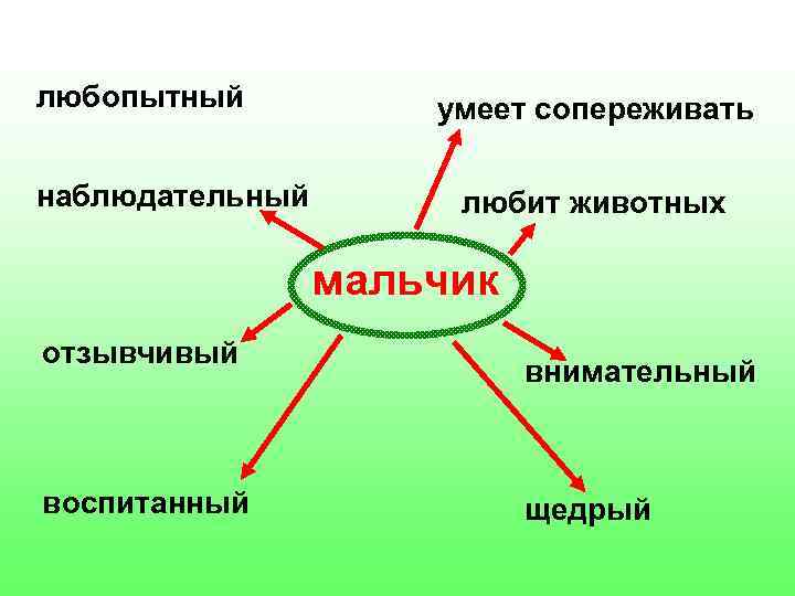 любопытный наблюдательный умеет сопереживать любит животных мальчик отзывчивый воспитанный внимательный щедрый 