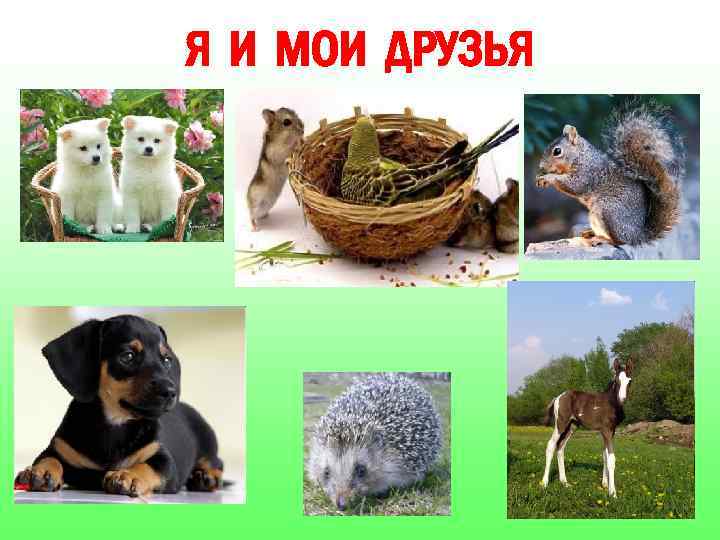 Я И МОИ ДРУЗЬЯ 