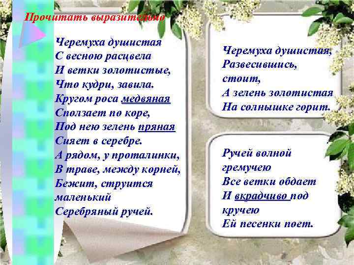 Прочитать выразительно Черемуха душистая С весною расцвела И ветки золотистые, Что кудри, завила. Кругом