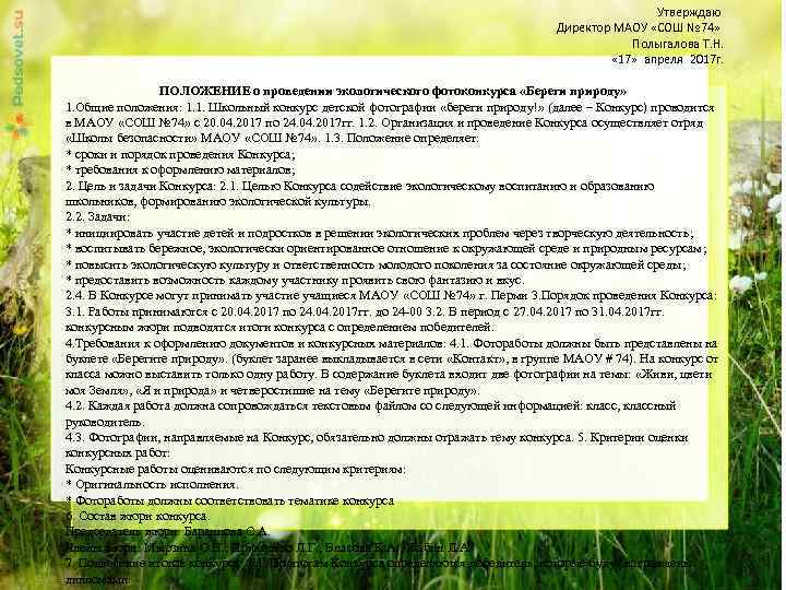 Утверждаю Директор МАОУ «СОШ № 74» Полыгалова Т. Н. « 17» апреля 2017 г.