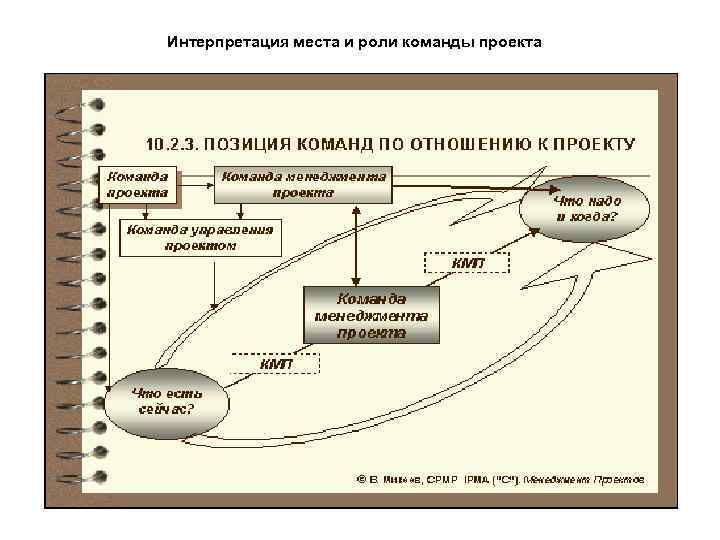 Интерпретация места и роли команды проекта 