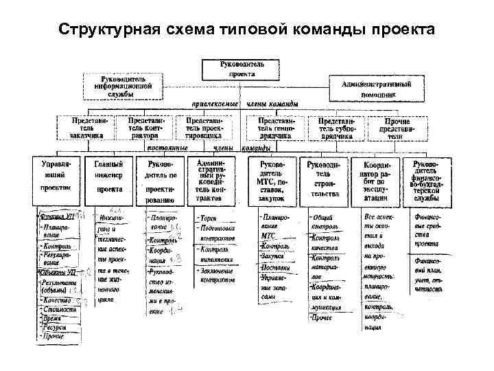 Структурная схема типовой команды проекта 