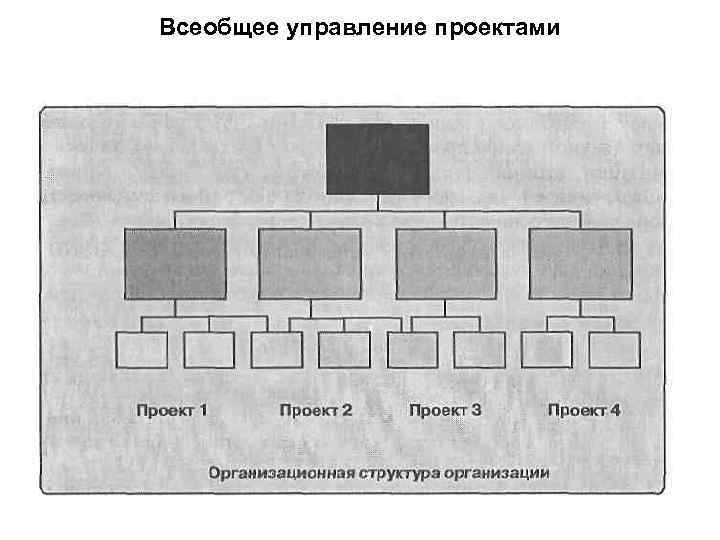 Всеобщее управление проектами 