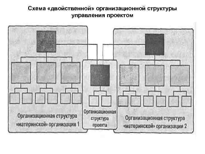 Схема «двойственной» организационной структуры управления проектом 