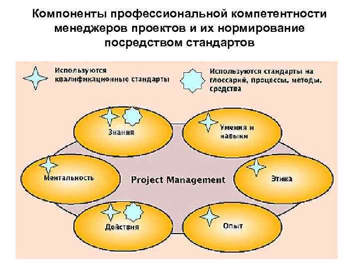 Компоненты профессиональной компетентности менеджеров проектов и их нормирование посредством стандартов 