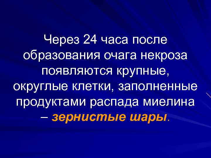 Через 24 часа после образования очага некроза появляются крупные, округлые клетки, заполненные продуктами распада