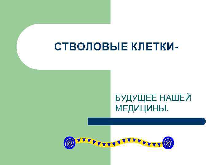СТВОЛОВЫЕ КЛЕТКИ- БУДУЩЕЕ НАШЕЙ МЕДИЦИНЫ. 