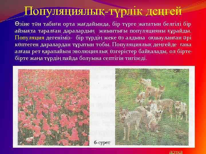 Популяциялық-түрлік деңгей Өзіне тән табиғи орта жағдайында, бір түрге жататын белгілі бір аймақта таралған