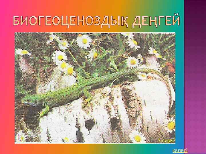 7 -сурет келесі 