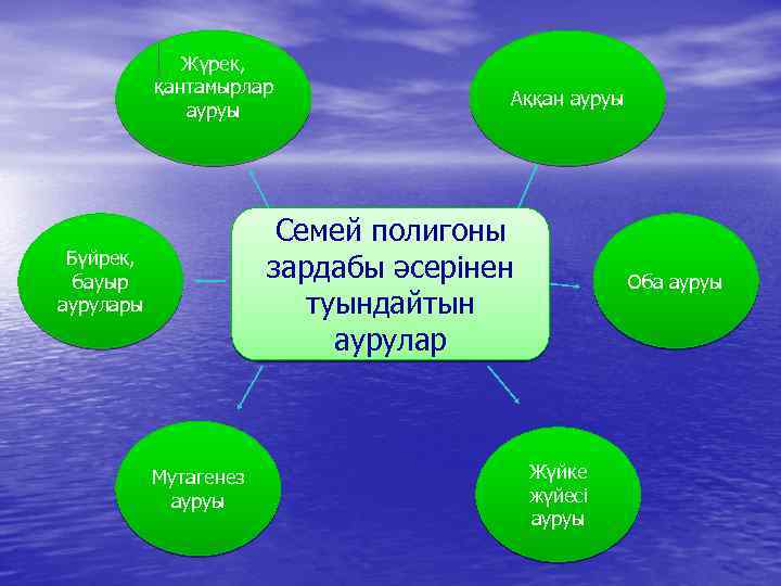 Жүрек, қантамырлар ауруы Аққан ауруы Семей полигоны зардабы әсерінен туындайтын аурулар Бүйрек, бауыр аурулары